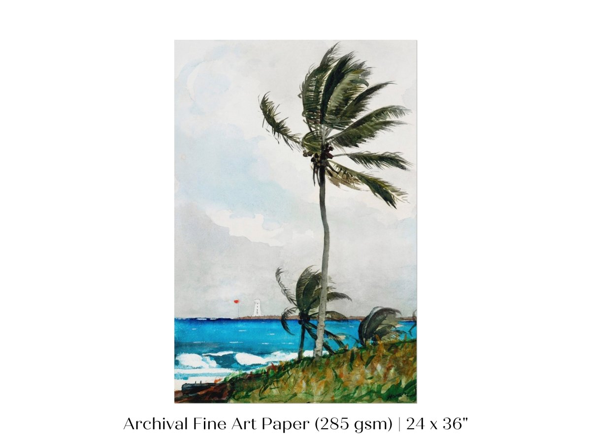 Palm Trees | P15 - Single Art Prints - Piccolo Fiore Prints