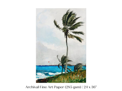 Palm Trees | P15 - Single Art Prints - Piccolo Fiore Prints