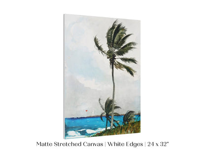 Palm Trees | P15 - Single Art Prints - Piccolo Fiore Prints