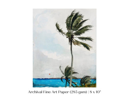 Palm Trees | P15 - Single Art Prints - Piccolo Fiore Prints