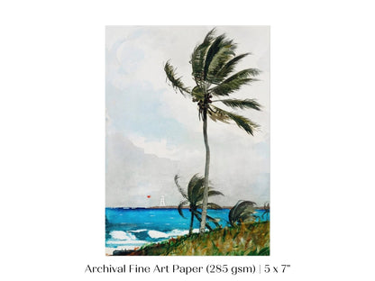 Palm Trees | P15 - Single Art Prints - Piccolo Fiore Prints