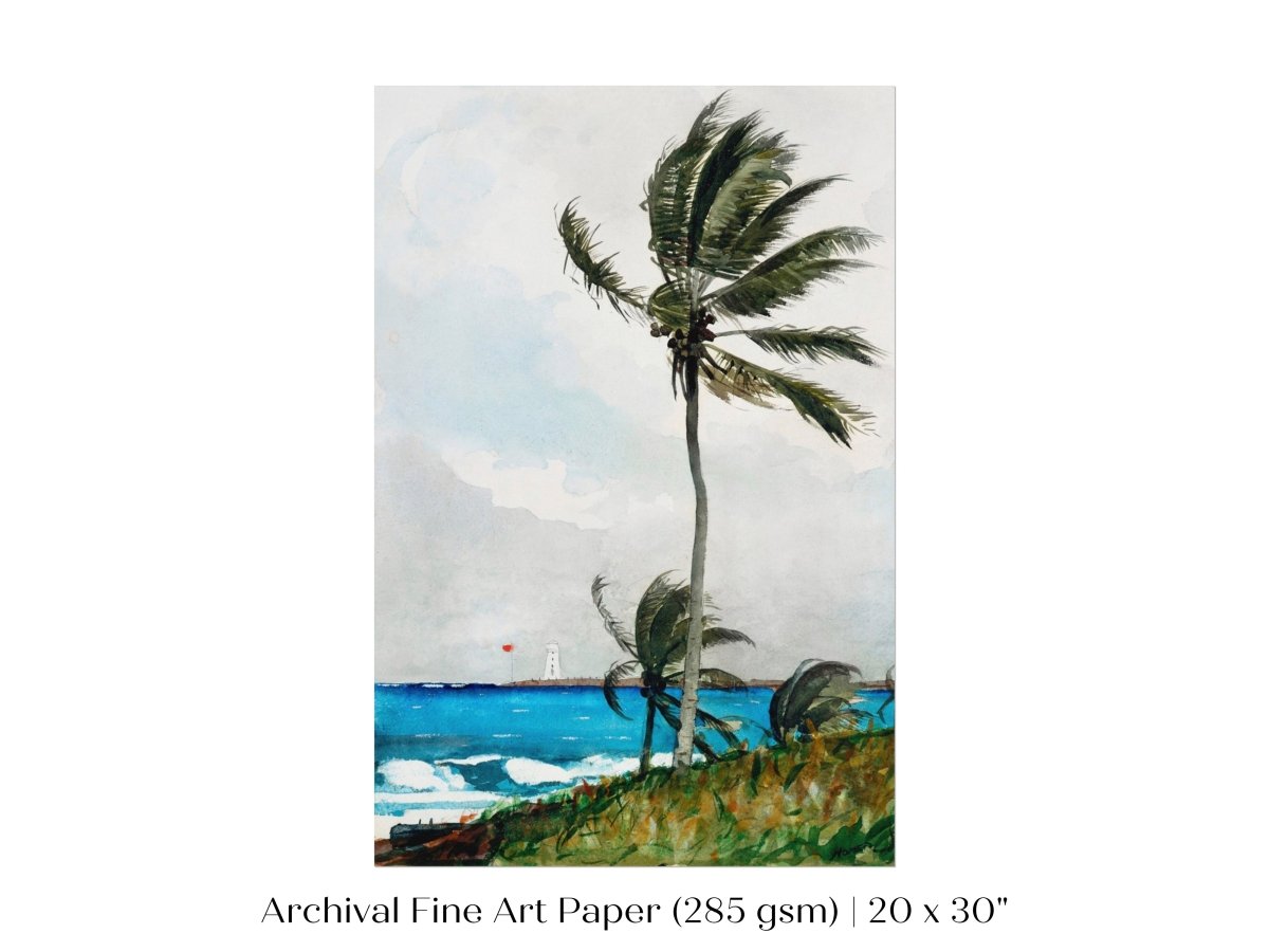 Palm Trees | P15 - Single Art Prints - Piccolo Fiore Prints