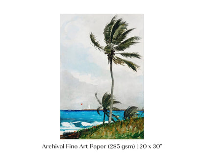Palm Trees | P15 - Single Art Prints - Piccolo Fiore Prints
