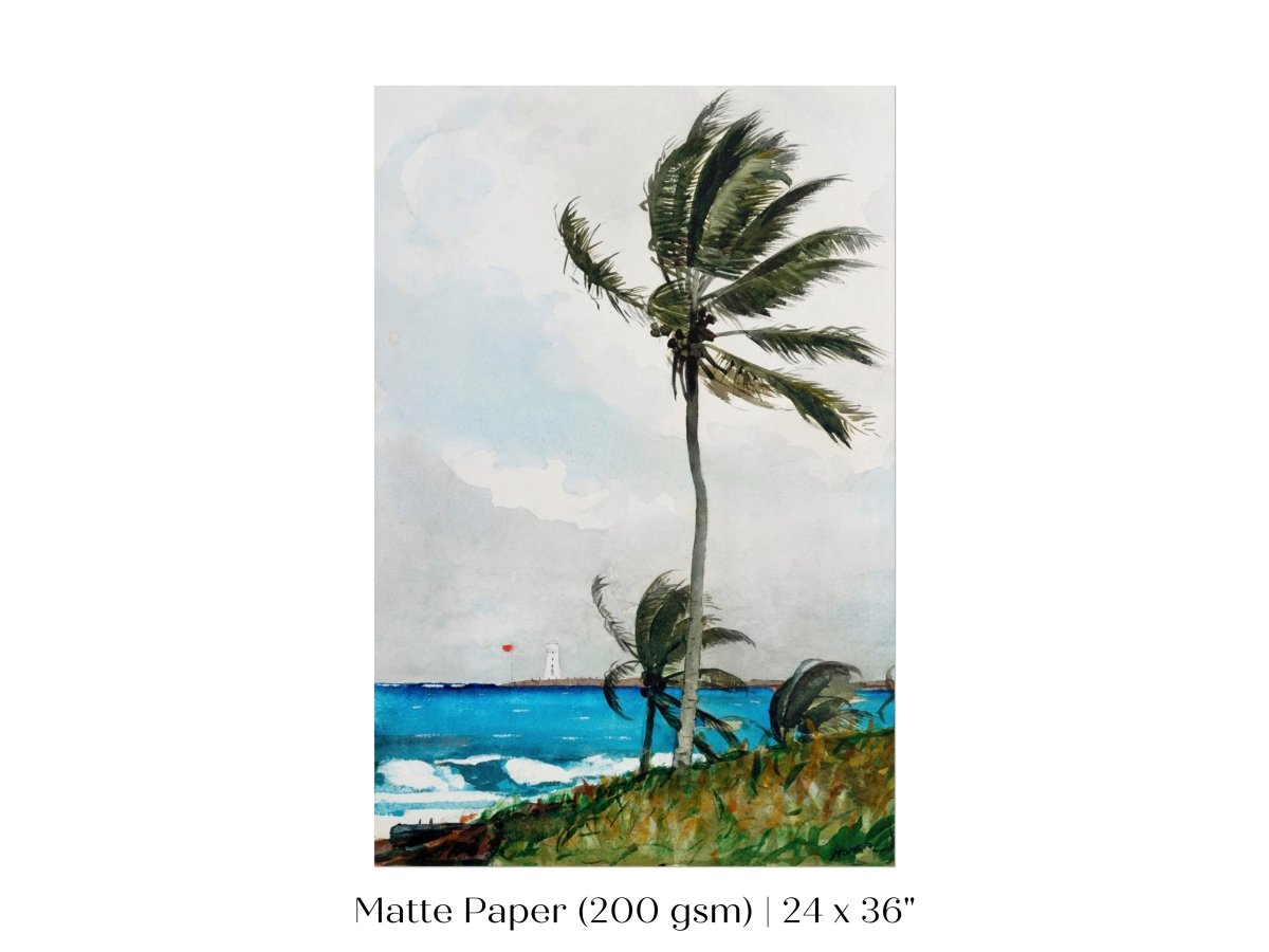 Palm Trees | P15 - Single Art Prints - Piccolo Fiore Prints