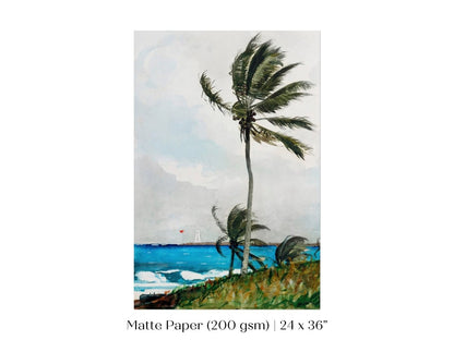 Palm Trees | P15 - Single Art Prints - Piccolo Fiore Prints