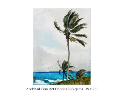 Palm Trees | P15 - Single Art Prints - Piccolo Fiore Prints