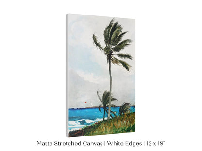 Palm Trees | P15 - Single Art Prints - Piccolo Fiore Prints