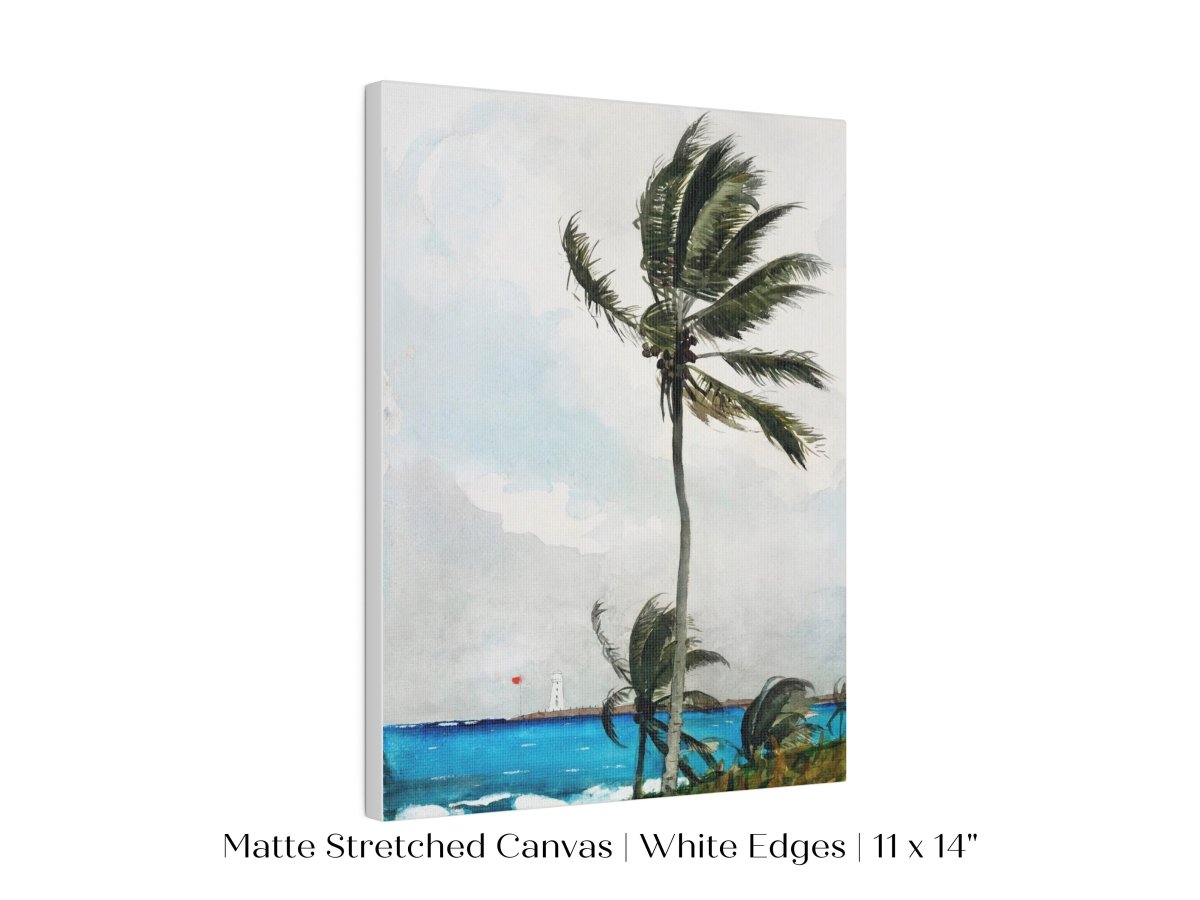 Palm Trees | P15 - Single Art Prints - Piccolo Fiore Prints