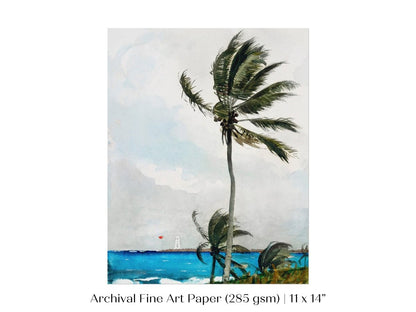 Palm Trees | P15 - Single Art Prints - Piccolo Fiore Prints