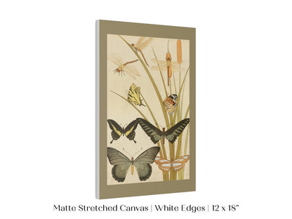 Papillons | P251 - Single Art Prints - Piccolo Fiore Prints