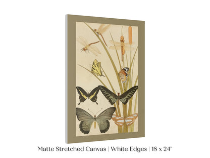 Papillons | P251 - Single Art Prints - Piccolo Fiore Prints