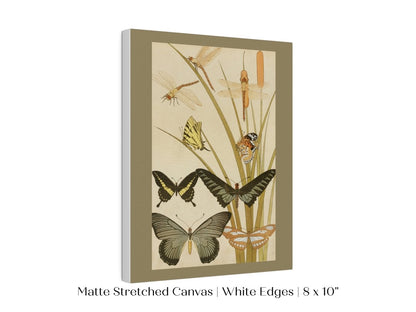 Papillons | P251 - Single Art Prints - Piccolo Fiore Prints