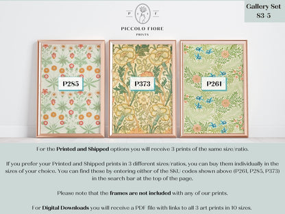 Peach and Green Florals | William Morris | Gallery Wall Set | 3 Prints | S3 - 5 - Gallery Wall Set - Piccolo Fiore Prints