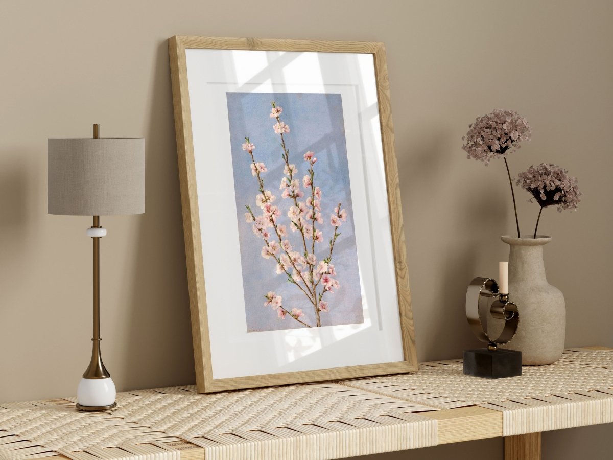 Peach Blossom | P24 - Single Art Prints - Piccolo Fiore Prints