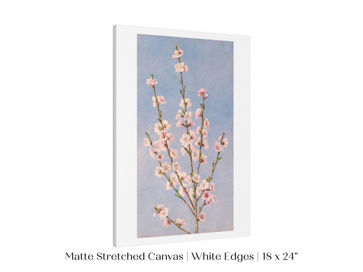Peach Blossom | P24 - Single Art Prints - Piccolo Fiore Prints