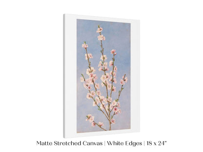 Peach Blossom | P24 - Single Art Prints - Piccolo Fiore Prints