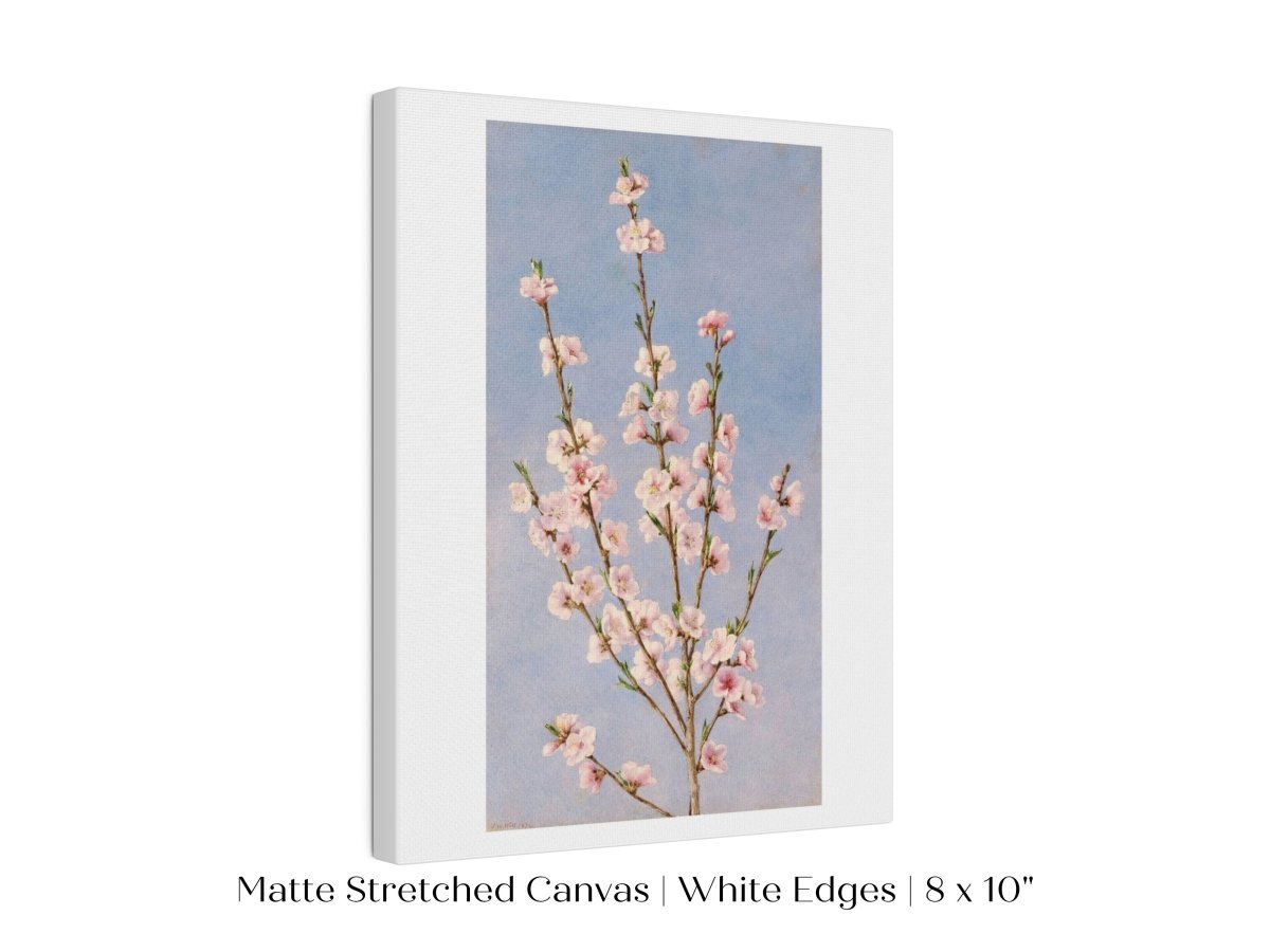 Peach Blossom | P24 - Single Art Prints - Piccolo Fiore Prints
