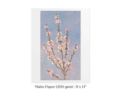 Peach Blossom | P24 - Single Art Prints - Piccolo Fiore Prints