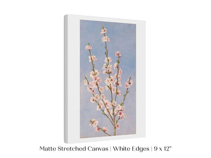 Peach Blossom | P24 - Single Art Prints - Piccolo Fiore Prints