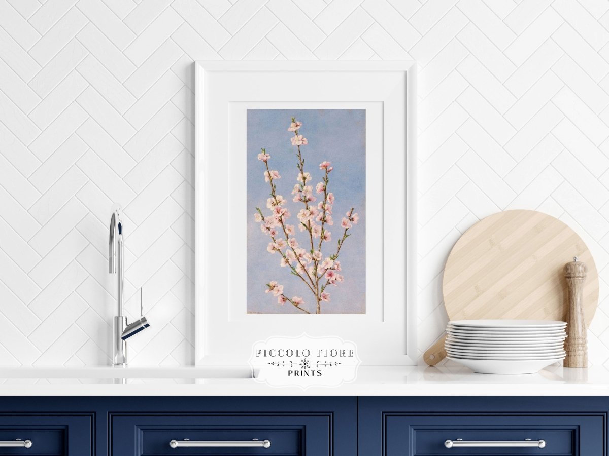 Peach Blossom | P24 - Single Art Prints - Piccolo Fiore Prints