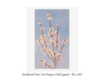 Peach Blossom | P24 - Single Art Prints - Piccolo Fiore Prints