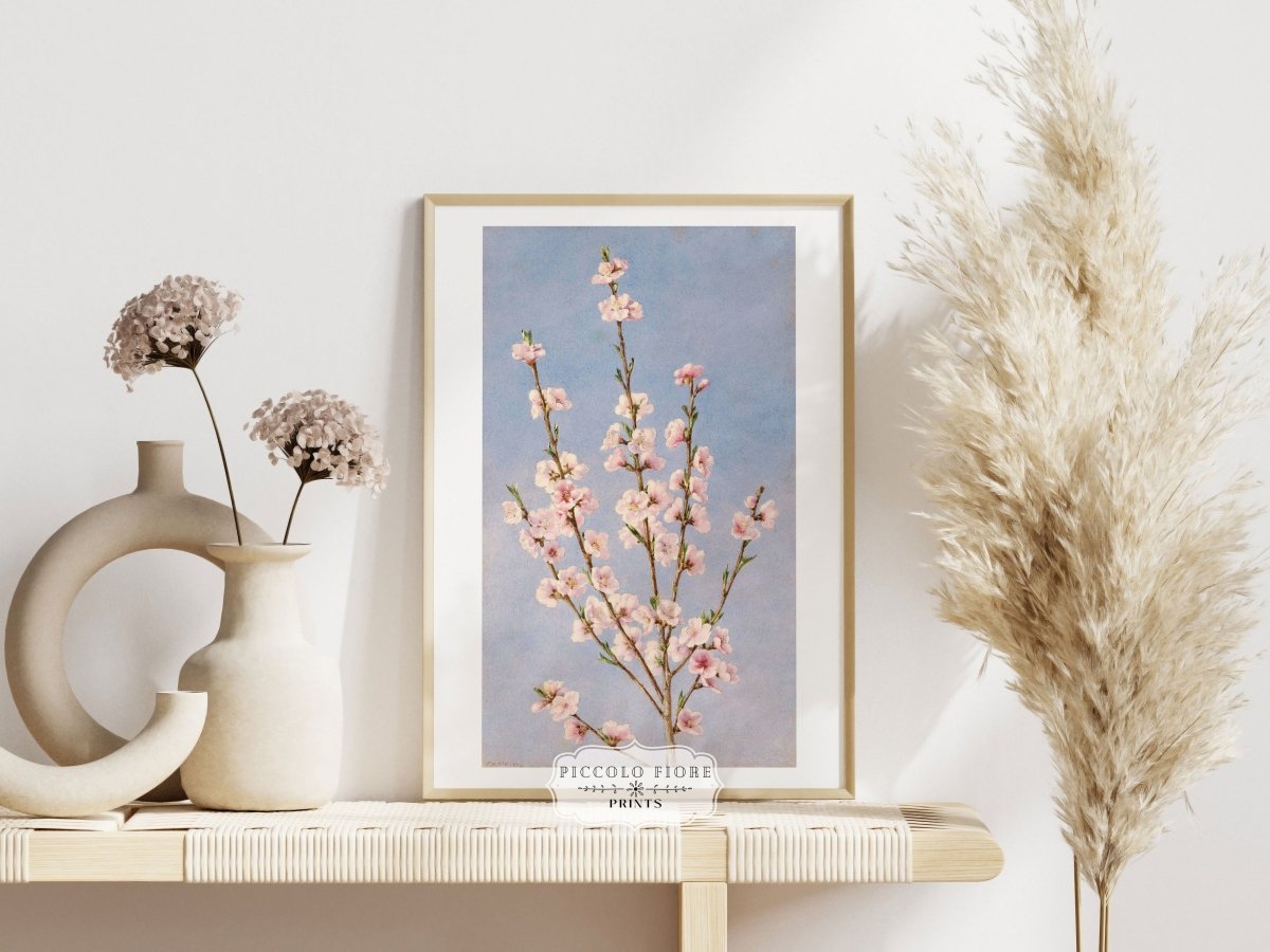 Peach Blossom | P24 - Single Art Prints - Piccolo Fiore Prints