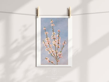 Peach Blossom | P24 - Single Art Prints - Piccolo Fiore Prints