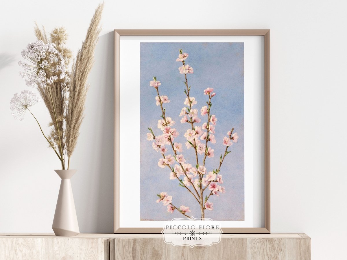 Peach Blossom | P24 - Single Art Prints - Piccolo Fiore Prints