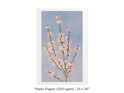 Peach Blossom | P24 - Single Art Prints - Piccolo Fiore Prints