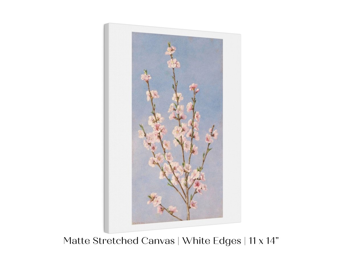 Peach Blossom | P24 - Single Art Prints - Piccolo Fiore Prints