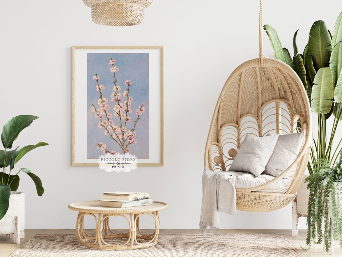 Peach Blossom | P24 - Single Art Prints - Piccolo Fiore Prints