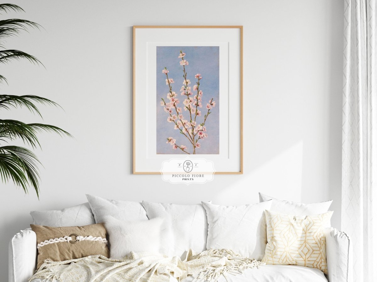 Peach Blossom | P24 - Single Art Prints - Piccolo Fiore Prints