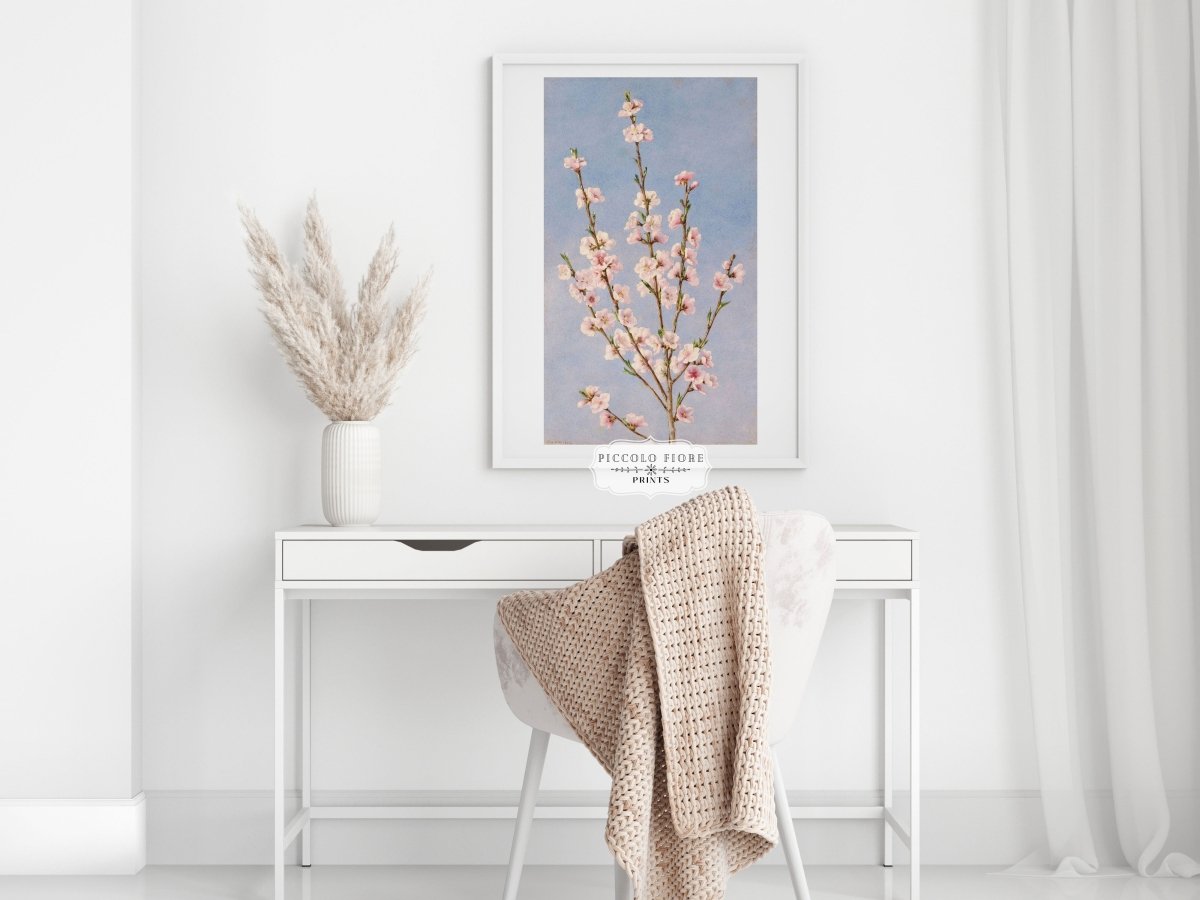 Peach Blossom | P24 - Single Art Prints - Piccolo Fiore Prints