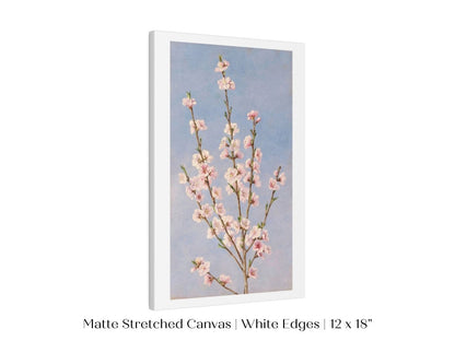 Peach Blossom | P24 - Single Art Prints - Piccolo Fiore Prints