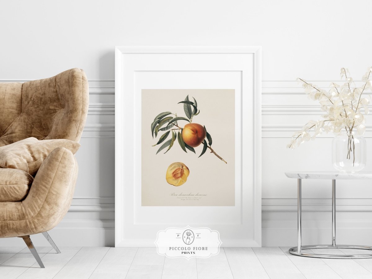 Peach Illustration | P99 - Single Art Prints - Piccolo Fiore Prints