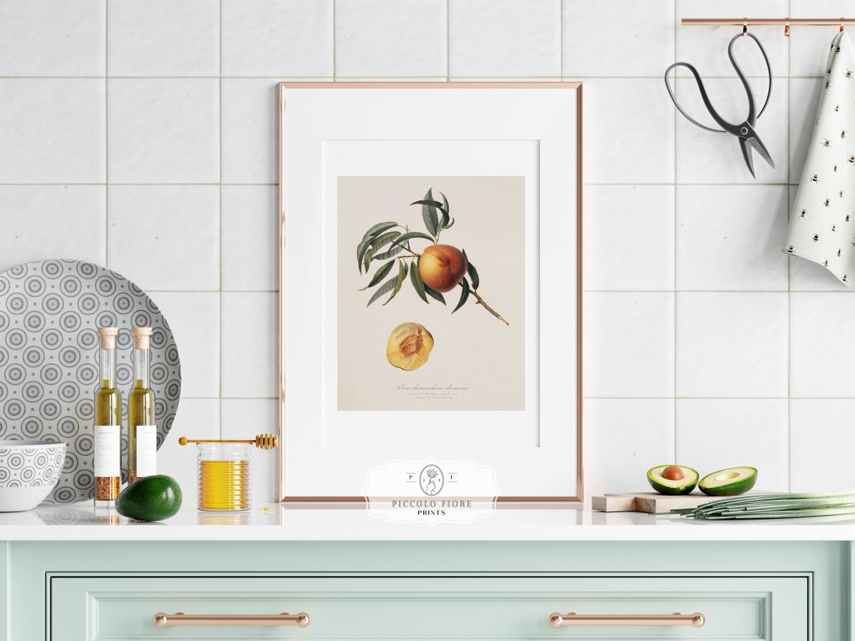 Peach Illustration | P99 - Single Art Prints - Piccolo Fiore Prints