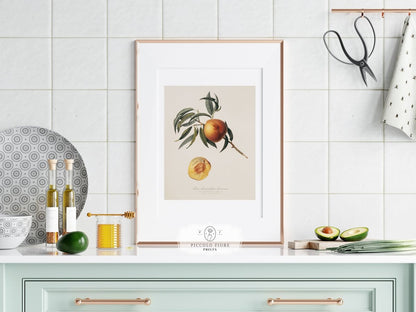 Peach Illustration | P99 - Single Art Prints - Piccolo Fiore Prints