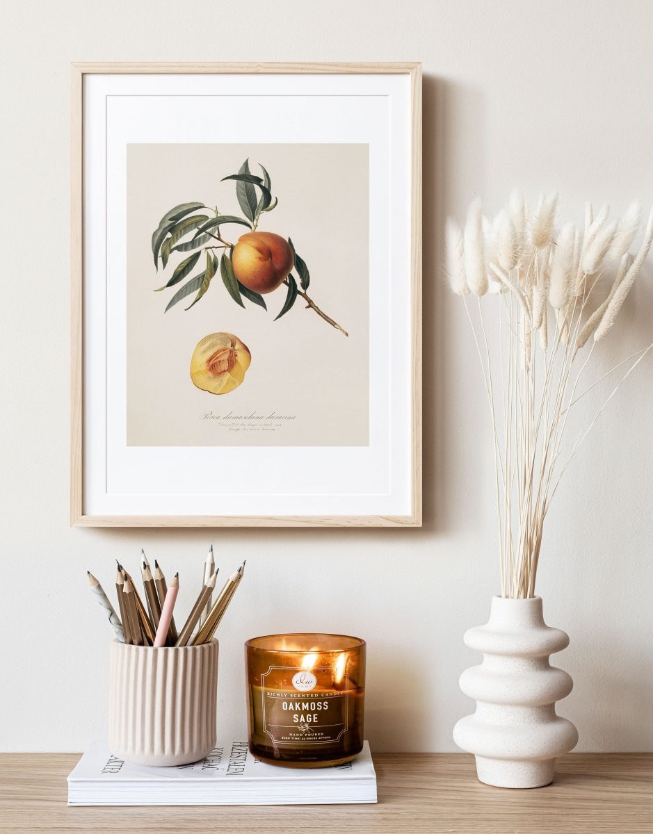 Peach Illustration | P99 - Single Art Prints - Piccolo Fiore Prints