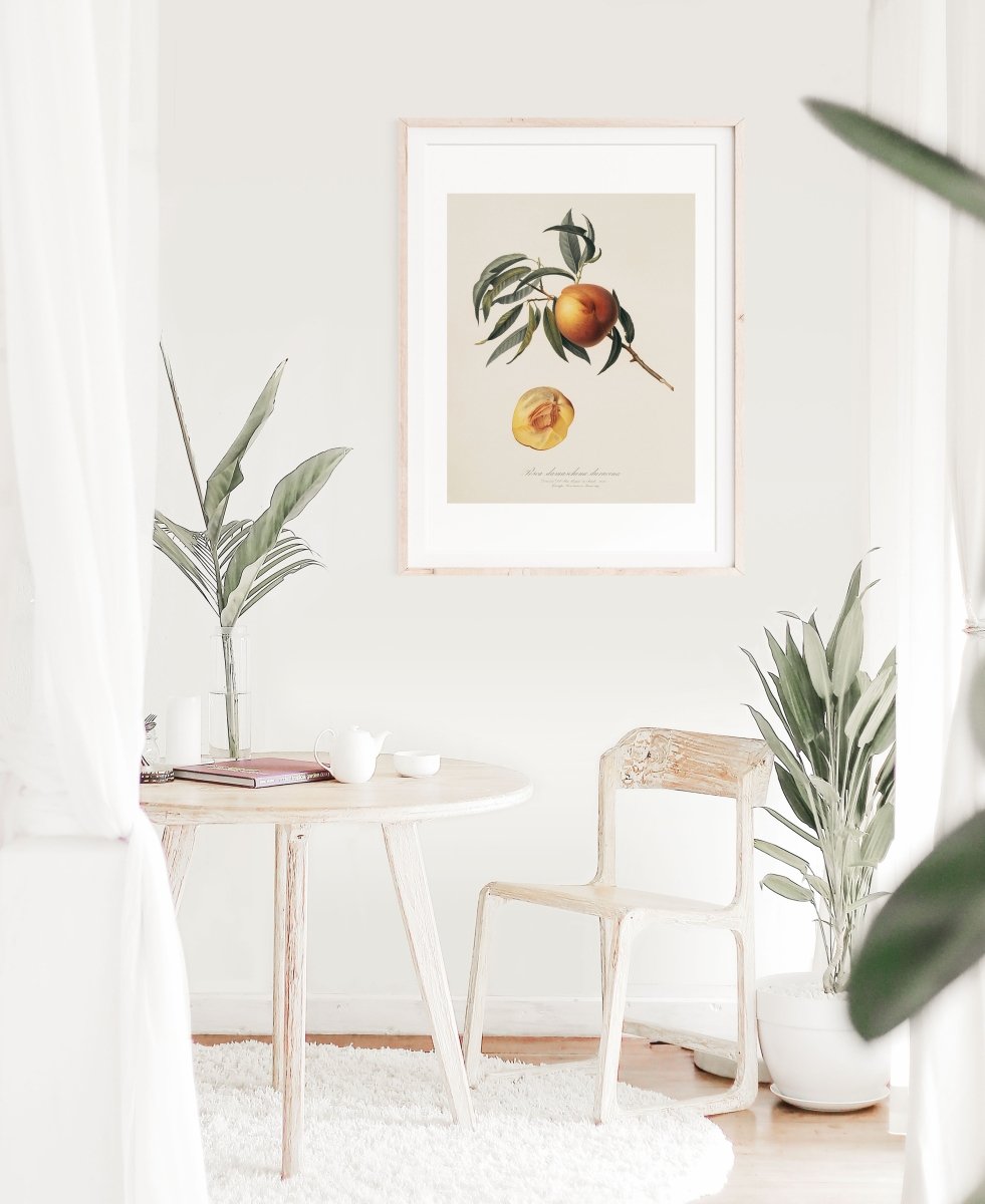 Peach Illustration | P99 - Single Art Prints - Piccolo Fiore Prints