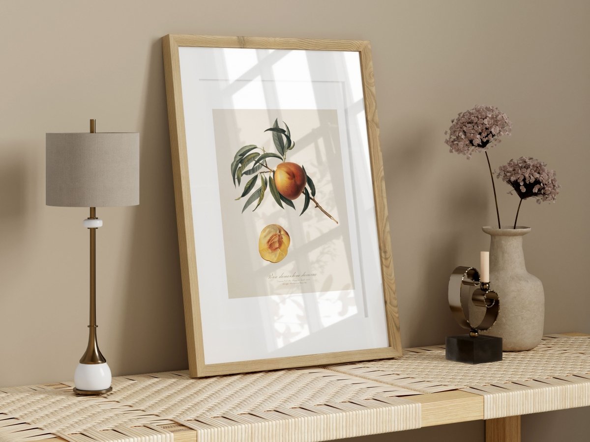 Peach Illustration | P99 - Single Art Prints - Piccolo Fiore Prints