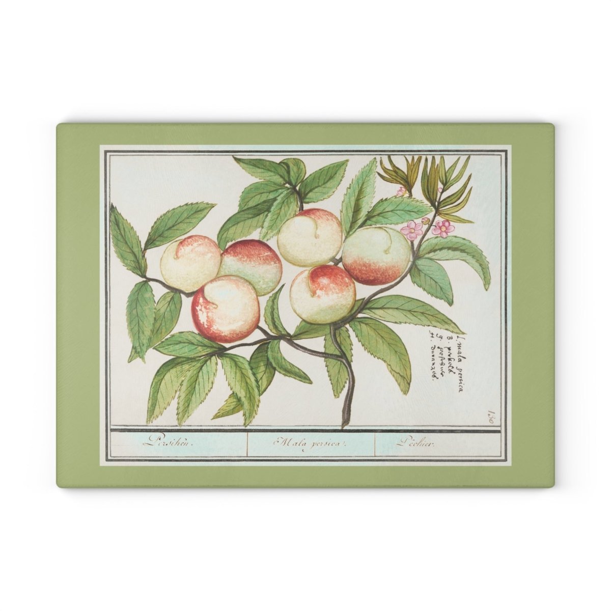 Peaches | Glass Chopping Board - Glass Chopping Board - Piccolo Fiore Prints