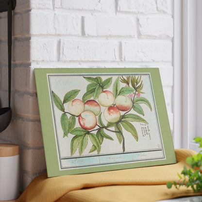 Peaches | Glass Chopping Board - Glass Chopping Board - Piccolo Fiore Prints