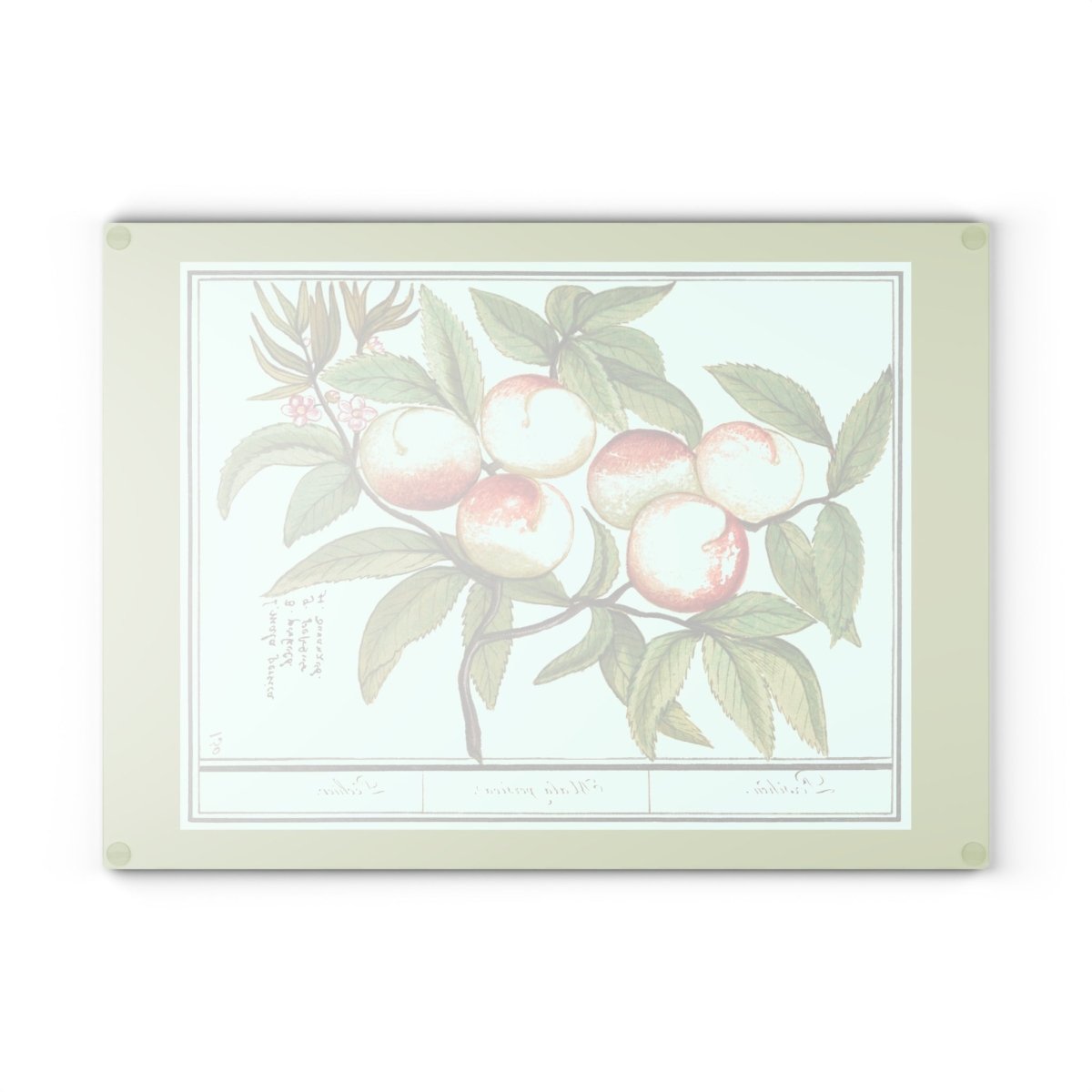 Peaches | Glass Chopping Board - Glass Chopping Board - Piccolo Fiore Prints