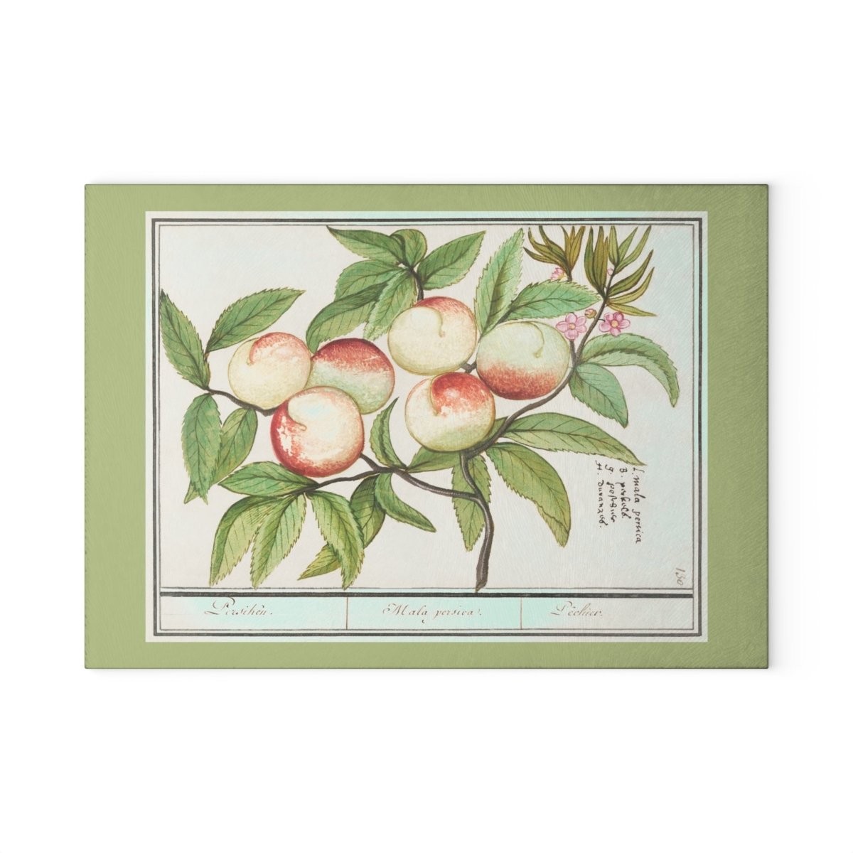 Peaches | Glass Chopping Board - Glass Chopping Board - Piccolo Fiore Prints