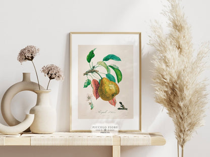 Pear | Botanical Illustration | P181 - Single Art Prints - Piccolo Fiore Prints