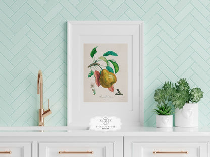 Pear | Botanical Illustration | P181 - Single Art Prints - Piccolo Fiore Prints