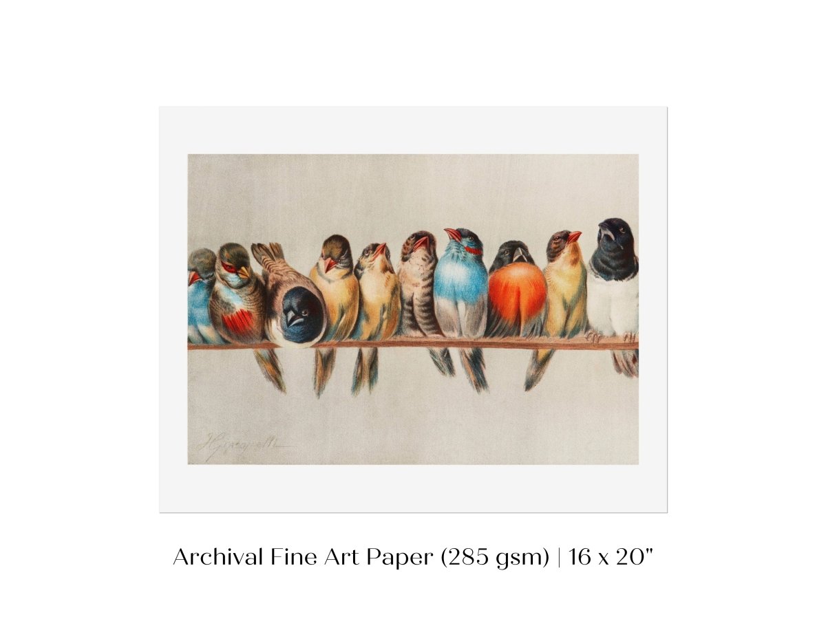 Perch of Small Birds | P30.1 - Single Art Prints - Piccolo Fiore Prints