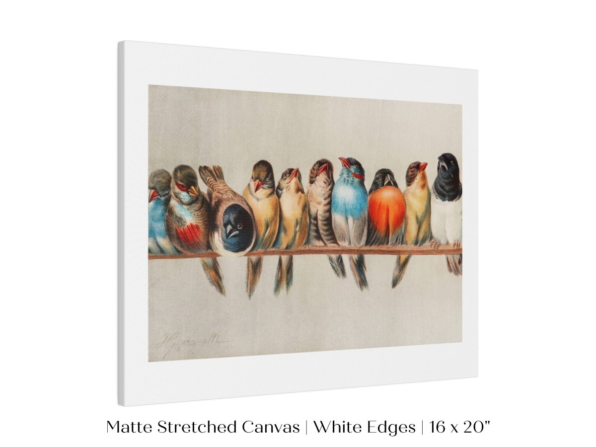 Perch of Small Birds | P30.1 - Single Art Prints - Piccolo Fiore Prints