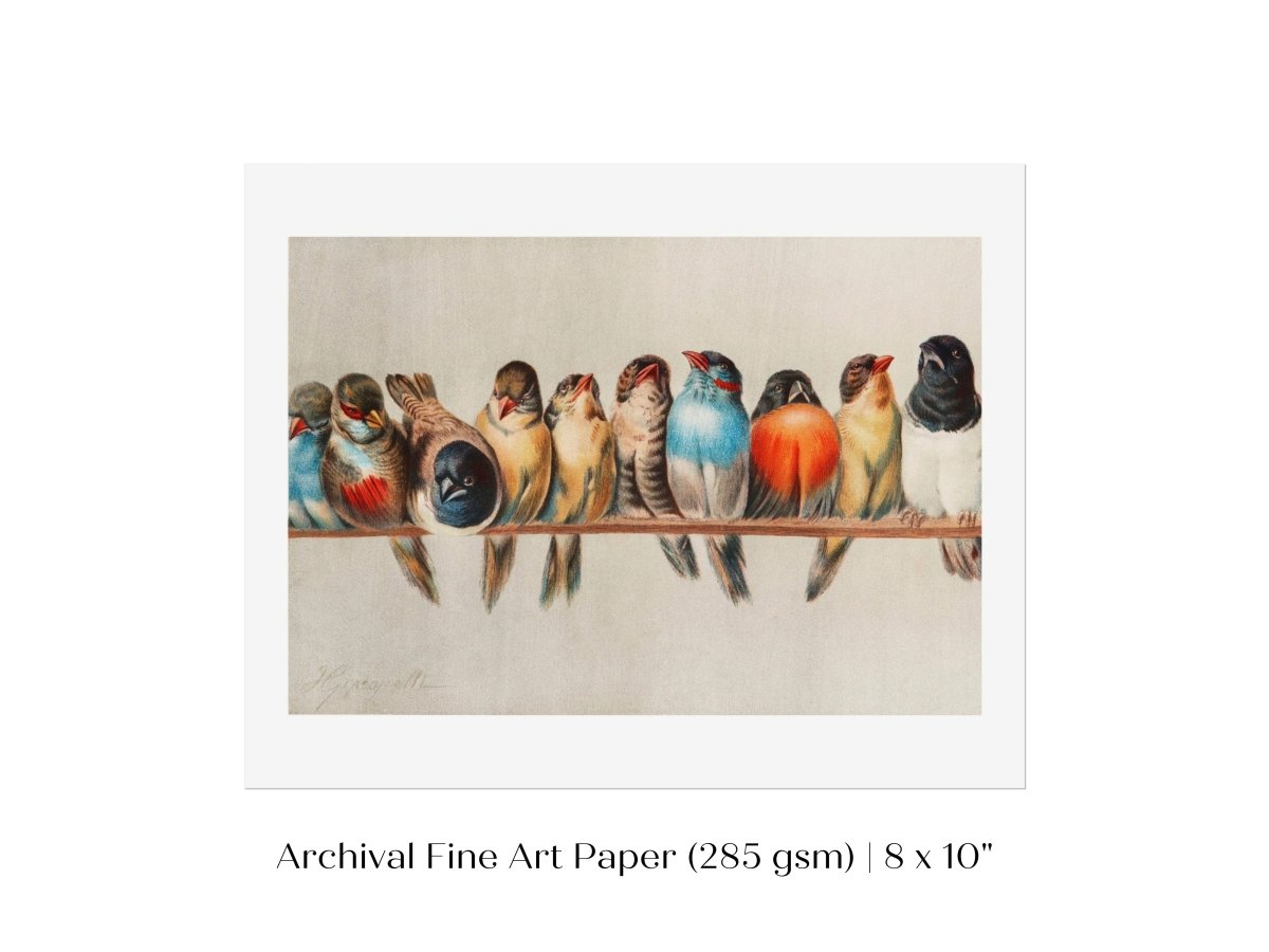 Perch of Small Birds | P30.1 - Single Art Prints - Piccolo Fiore Prints