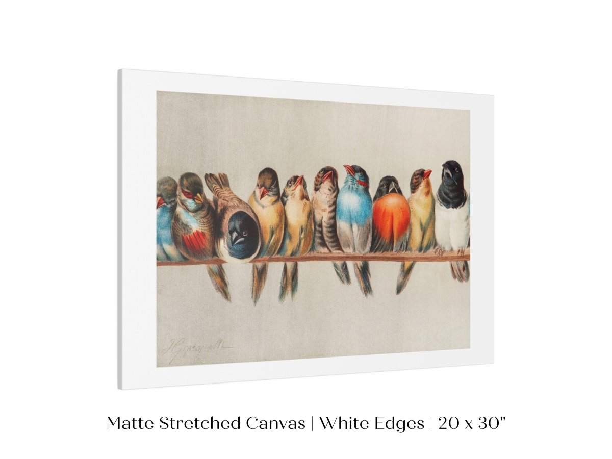 Perch of Small Birds | P30.1 - Single Art Prints - Piccolo Fiore Prints